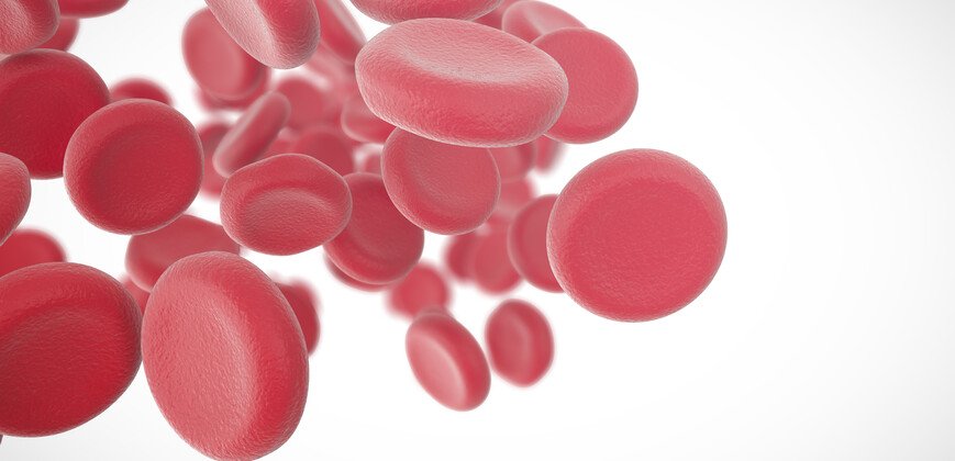 Red blood cells with depth of field isolated on white